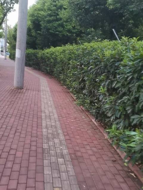 #一分钟精选视频扶持计划#漫步在红色的路上，周围的绿化率挺高