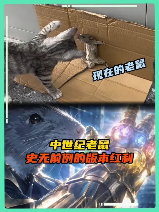 那段时期的老鼠太超标了，以至于被削的如今还在还债