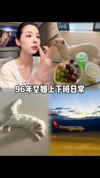 空姐vlog｜最好的关系：好久不见，一如从前