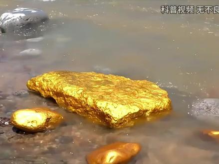 狗头金明明不是纯金，为什么比纯金还贵？捡到后能据为己有吗？ （2）