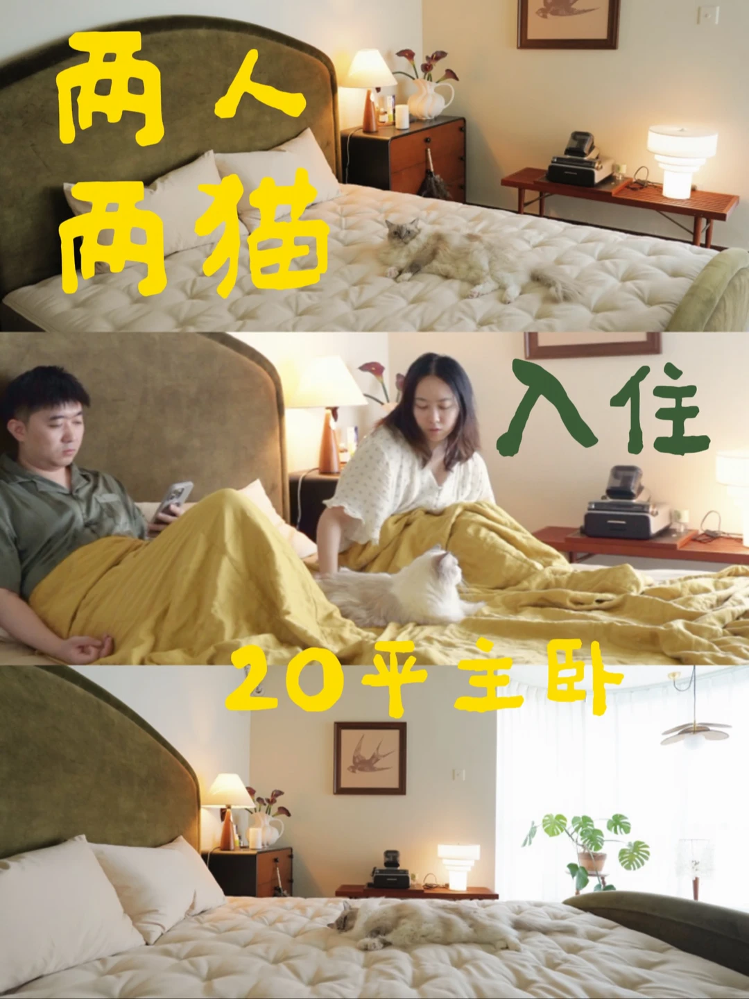 两人两猫入住20平树景主卧实在是太爽啦！