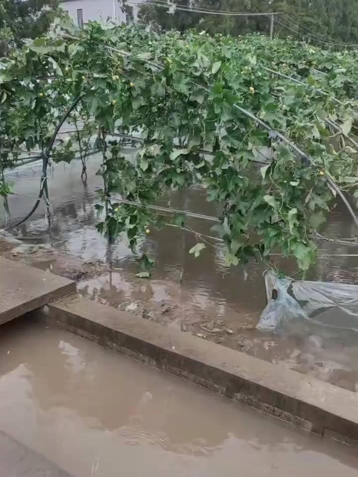上海的雨有多大，看看就知道了