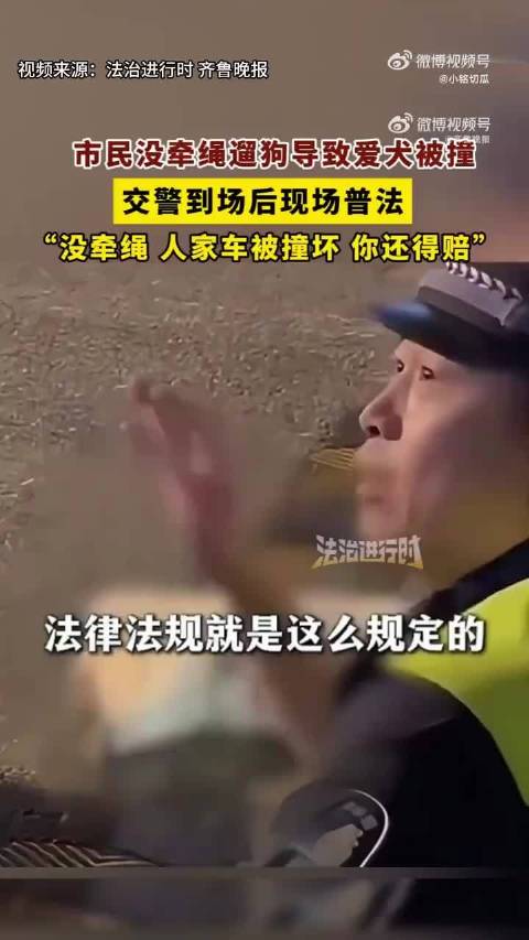 #交警称不拴绳狗被撞死按野狗处理# 近期， 江苏一女子遛狗未牵绳致犬只被撞死，交警到场后硬核普法：未