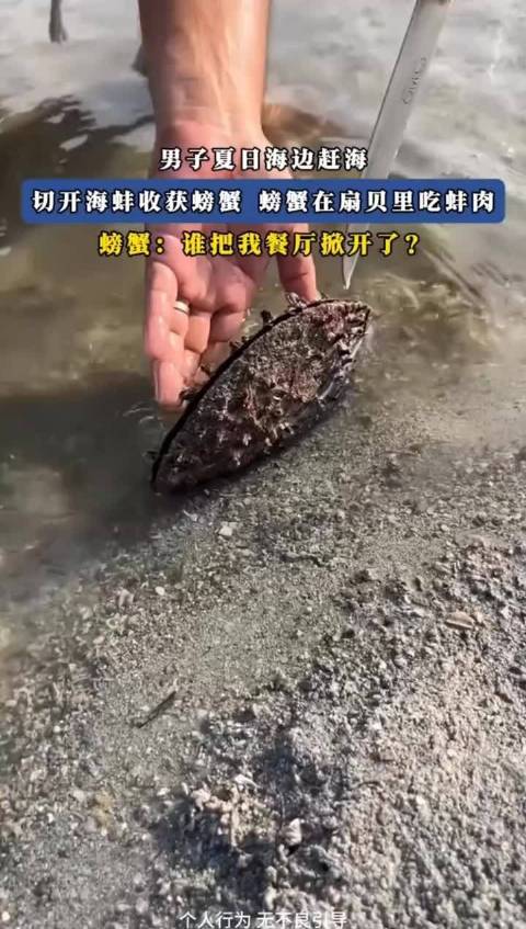 螃蟹：是谁把我的餐厅给撬开了？  ​​​