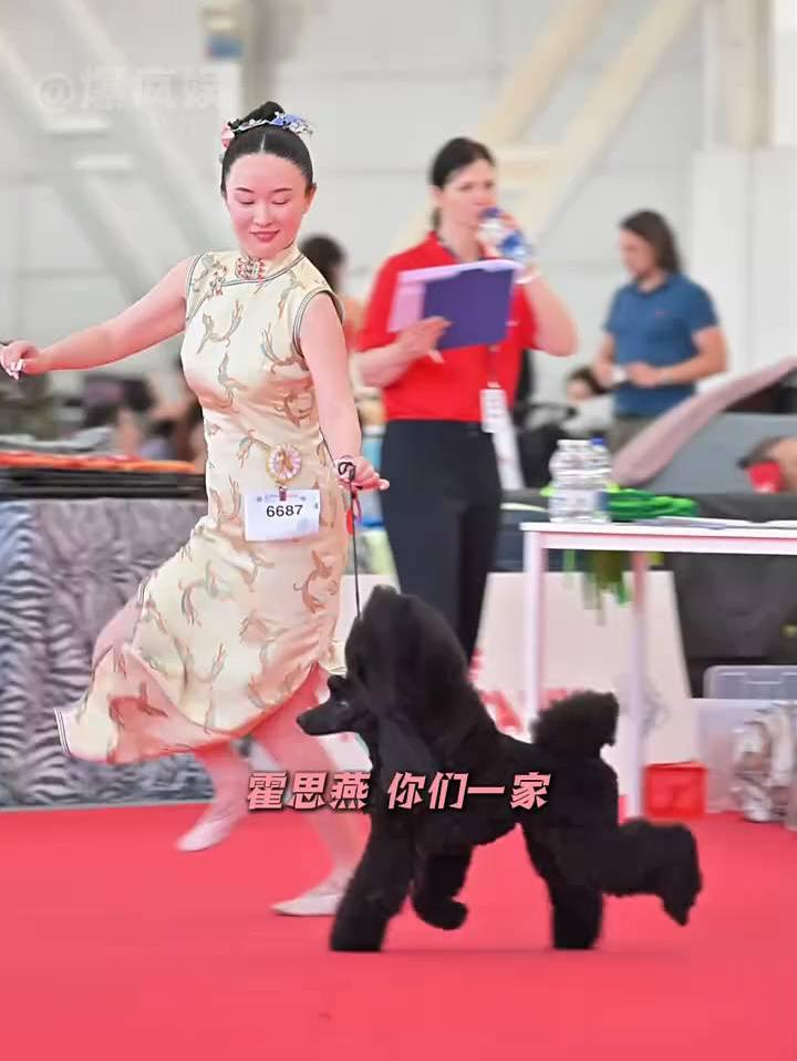 就凭霍思燕救了珍珠 我都能粉她一辈子啊