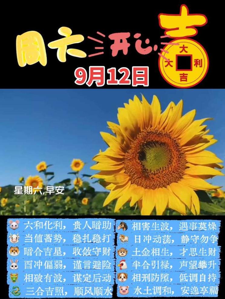 今天9月12日，周六