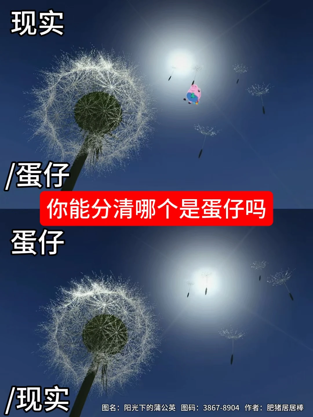 你能分清哪个是蛋仔吗
