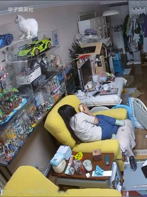养猫劝退指南，有些猫天生就是流浪圣体  ​​​