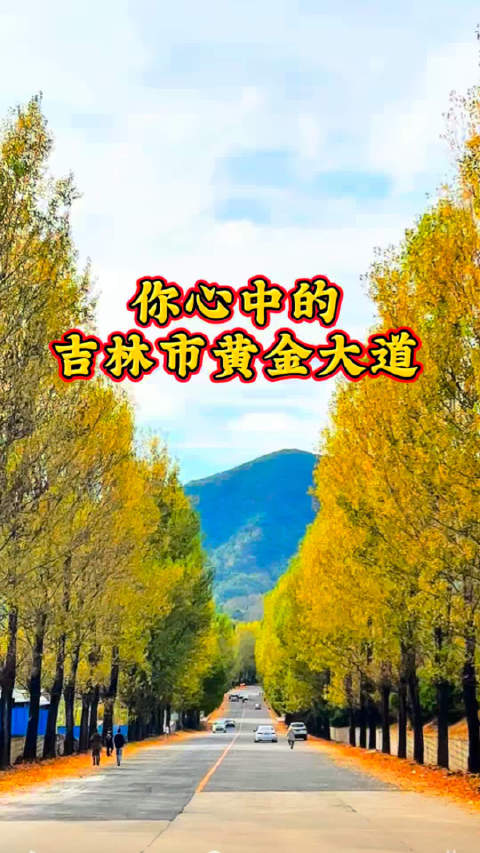 #吉林市##秋天##黄金大道# 你心中的吉林市黄金大道来了[嘻嘻][赞]   ​​​