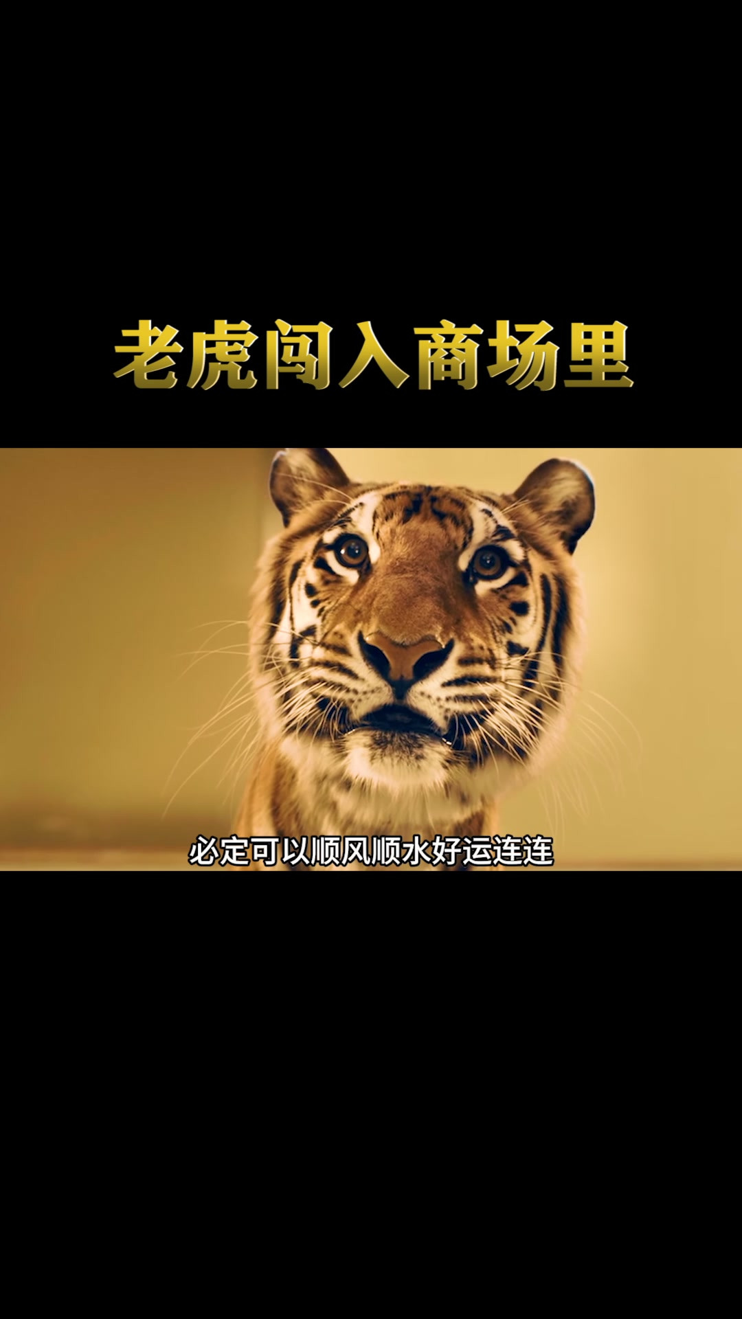 迷路的老虎来到商场，跟小朋友握手打招呼，人性片
