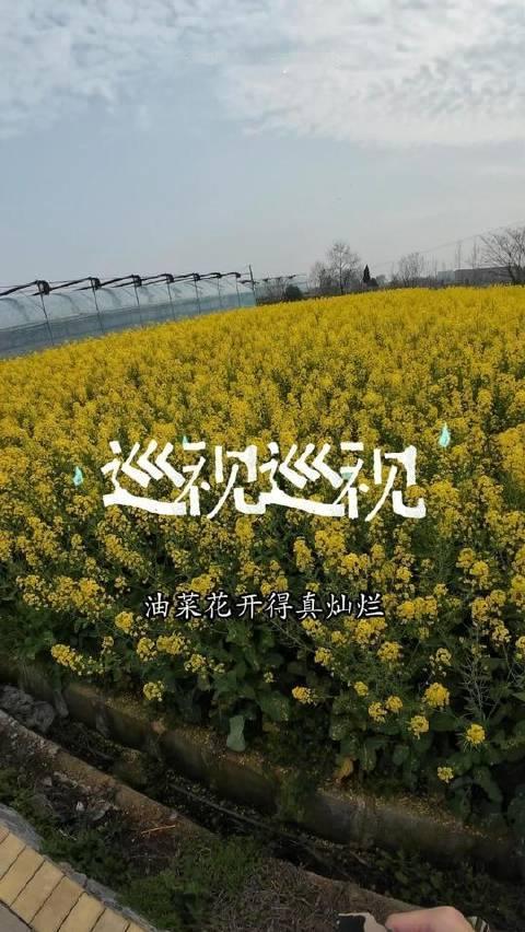 #第一视角# #解压# #沉浸式体验# 新农人计划2026 农场主