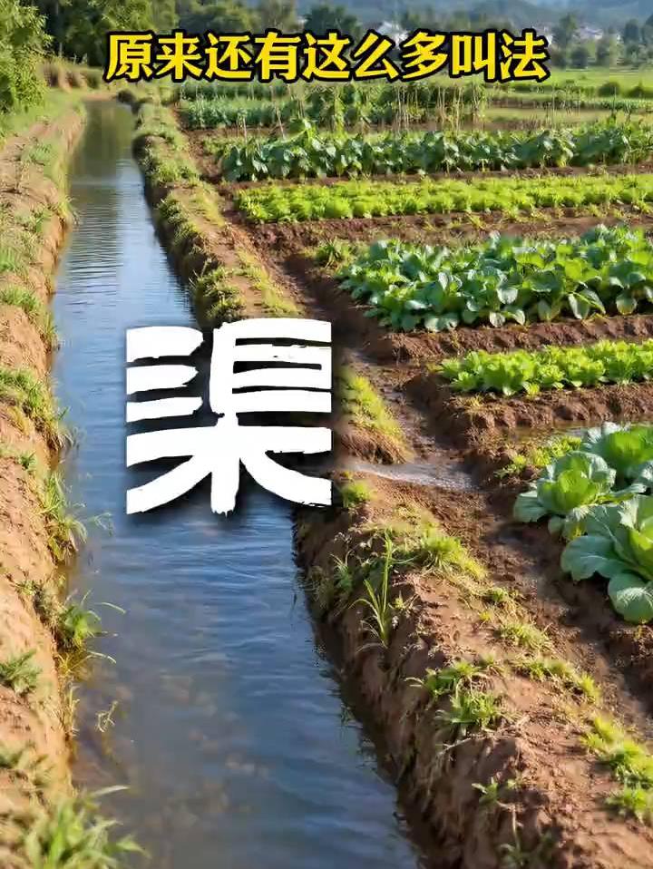 原来“田”里还有这么多叫法！ #田#土地  #涨知识
