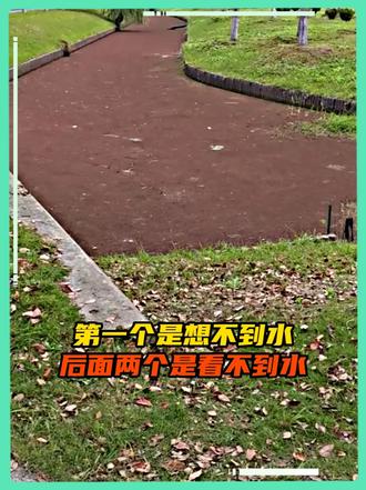 第一个想到投石问路的人简直是天才来着