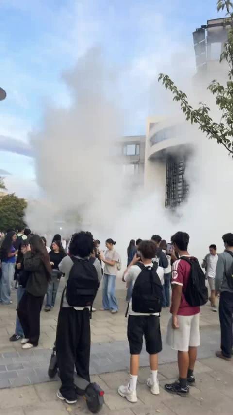 #法国高中生抗议演变成纵火砸店#法国高中生因师资短缺、校舍破旧发起的抗议，在十天内演变为全国性暴力骚