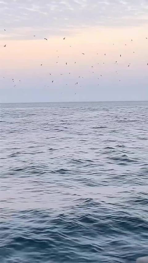 今天是发财日，如果你最近感觉财务压力大，赚钱比较难，一定要赞转接财