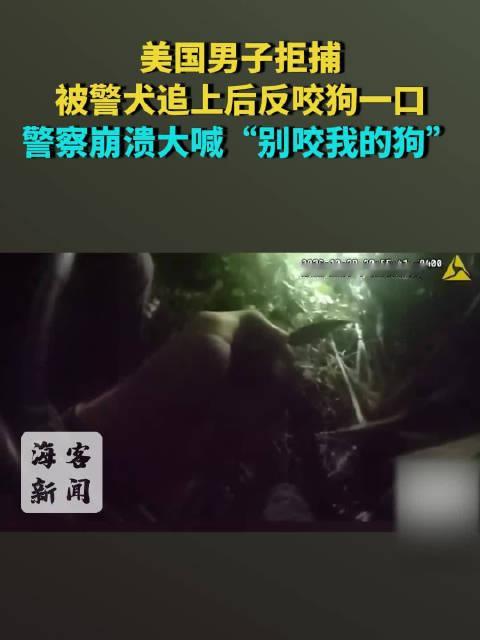 【#美国男子拒捕被警犬追后反咬狗一口#  警察崩溃大喊“别咬我的狗】