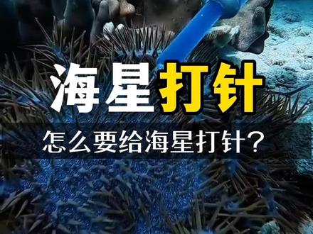 为什么人类看到海星 要给它注射打针