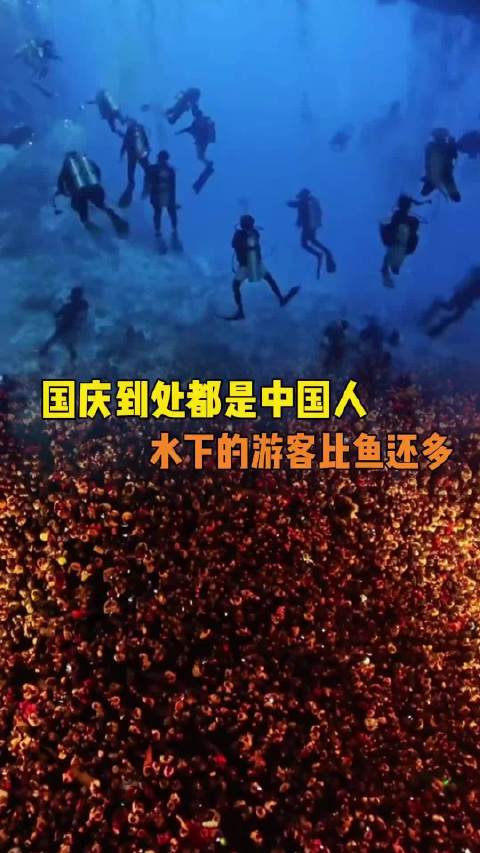 #西湖密密麻麻全是人#一到放假，中国人像泡了水的木耳崩得到处都是…… ​