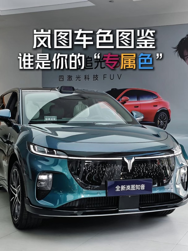 你的岚图，是什么颜色的？