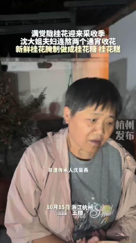 【#杭州村民连熬两个通宵收桂花#】#杭州满陇桂雨迎赏桂高峰#打桂花，是杭州满觉陇村的传统，自古有之。
