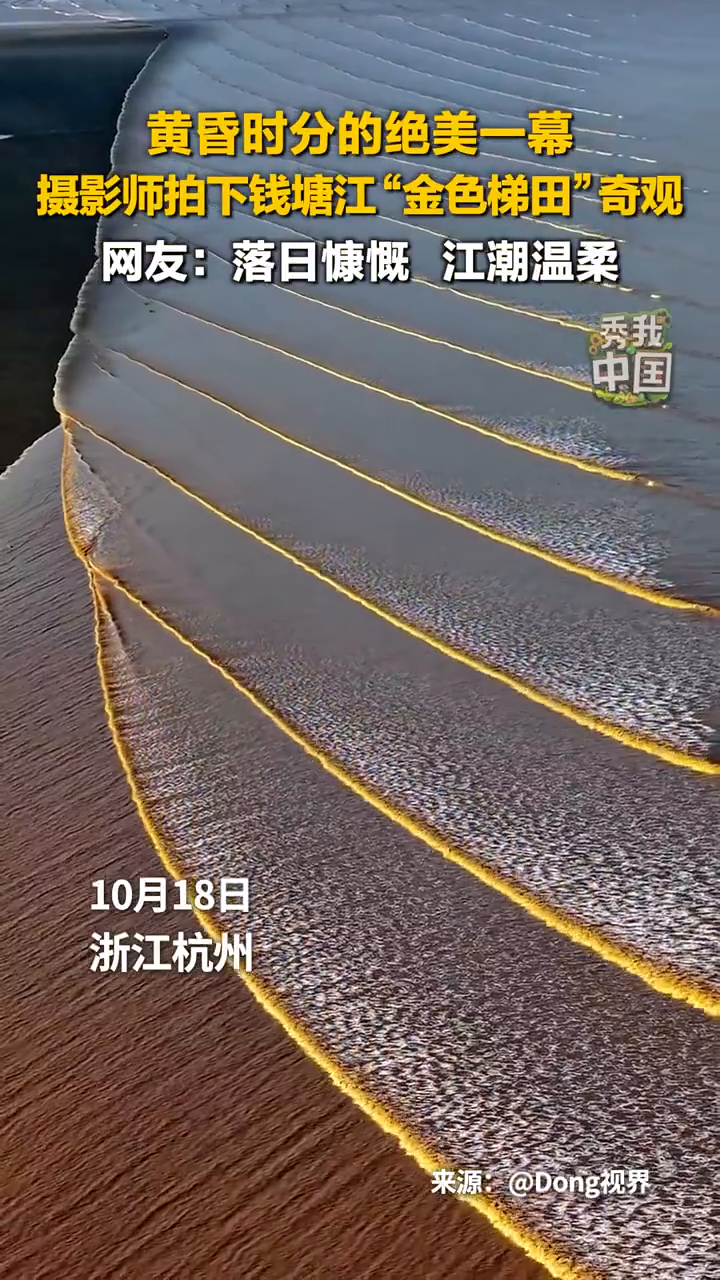 摄影师拍下钱塘江“金色梯田”奇观