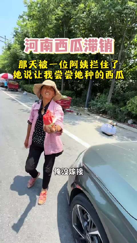 西瓜一毛一斤，不知道今年的河南是怎么了
