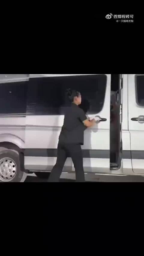 最感人的一幕 小白狮吊孝，给我看哭了