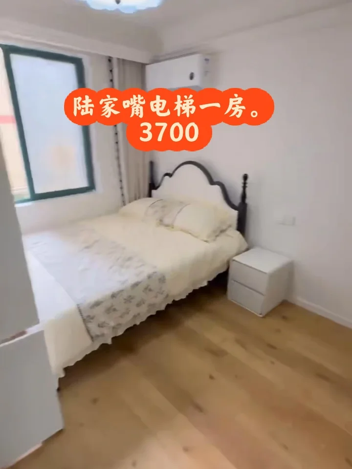 陆家嘴浦东南路 电梯整租一居室3700