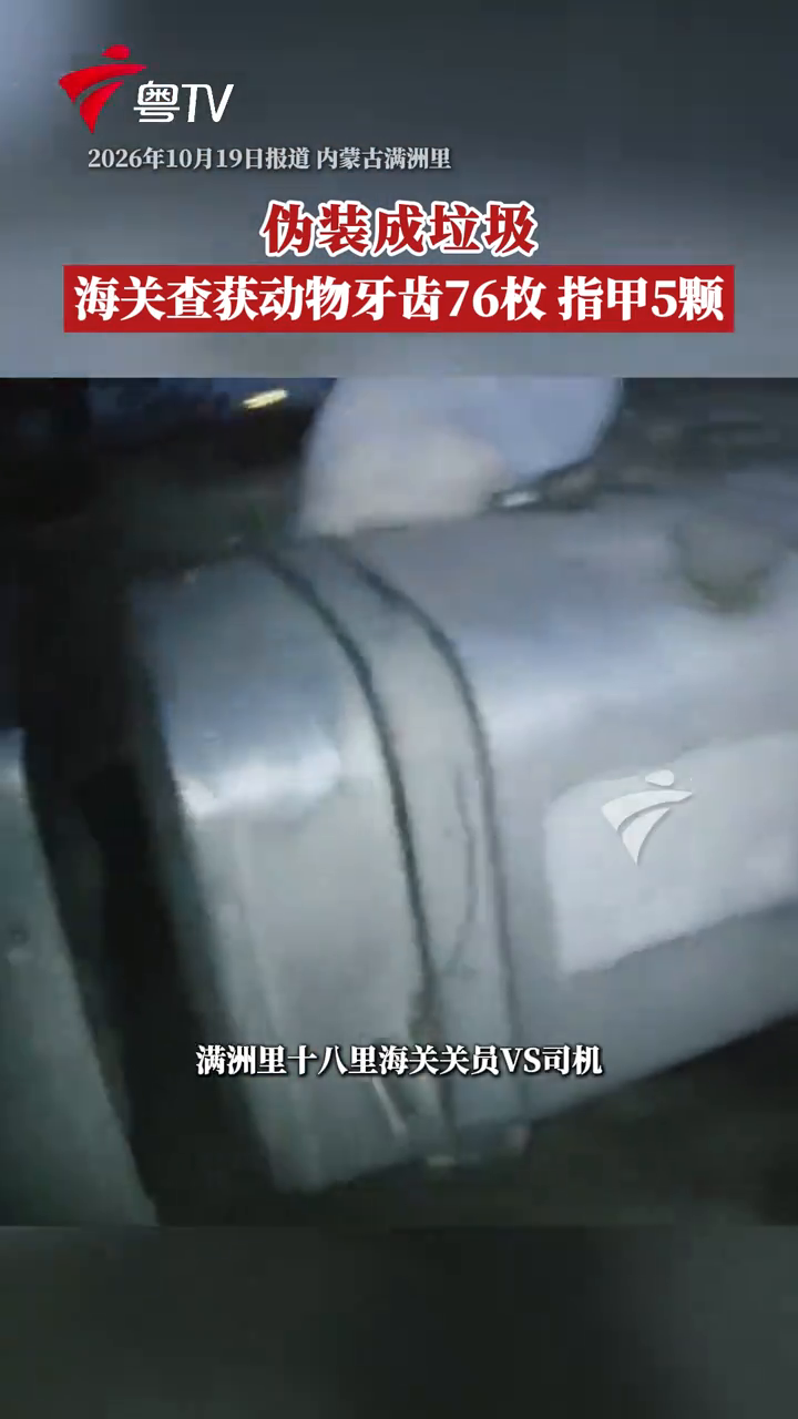 海关查获动物牙齿76枚