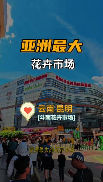 一百块，在亚洲最大的花卉市场买到多少花？
