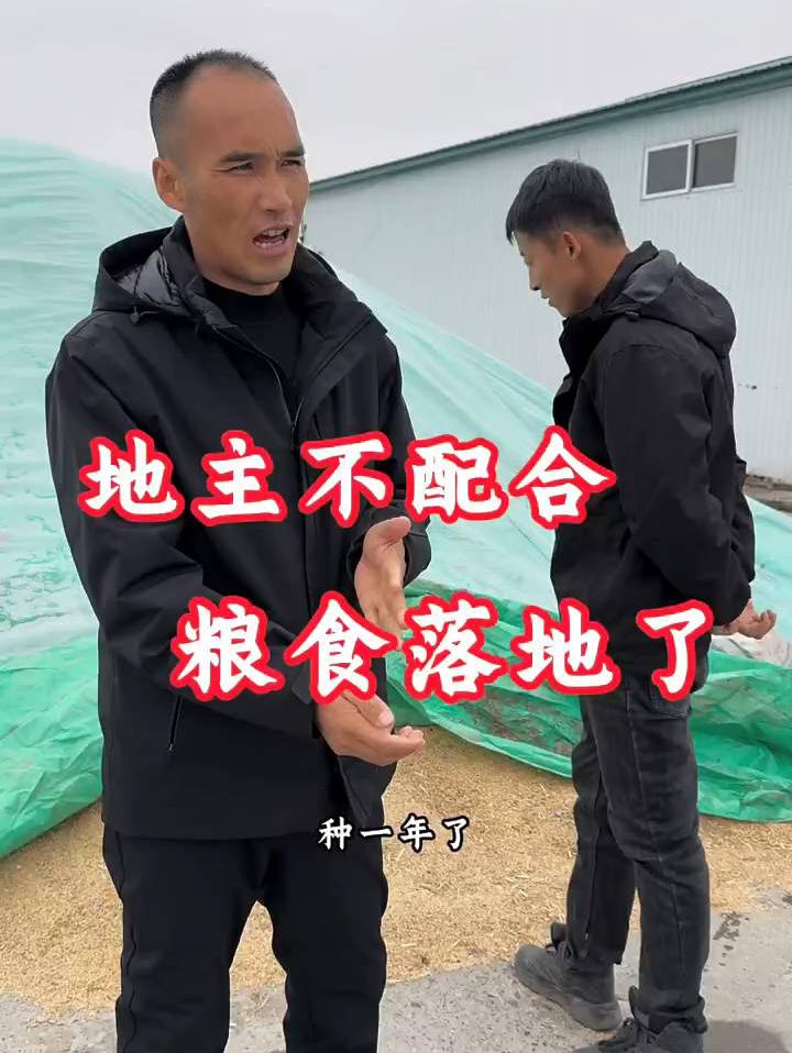 老百姓种地二包不容易，熬过丰收，卖粮更是难❗