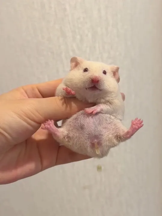 开了