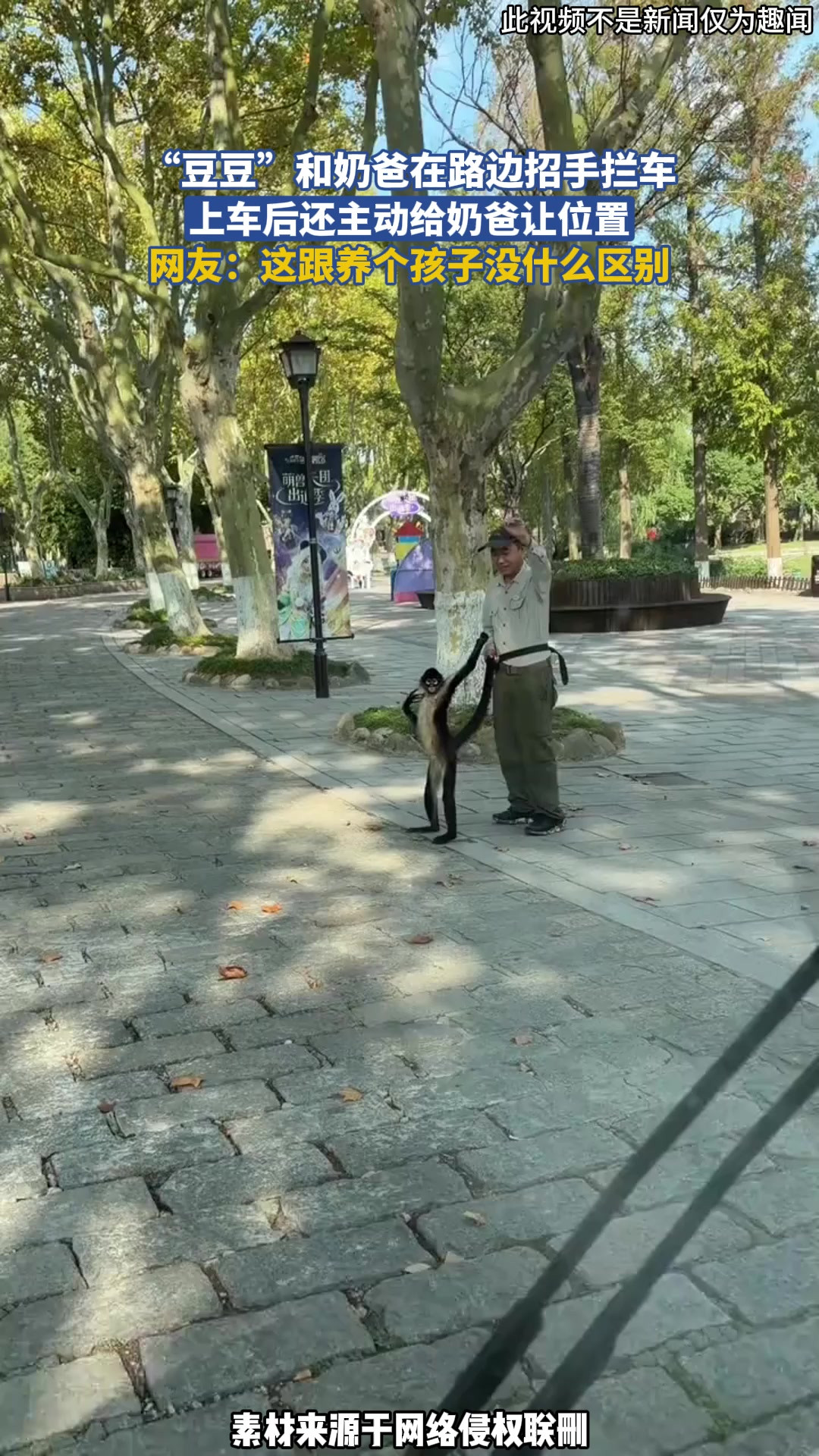 “豆豆”和奶爸在路边招手拦车，上车后还主动给奶爸让位置