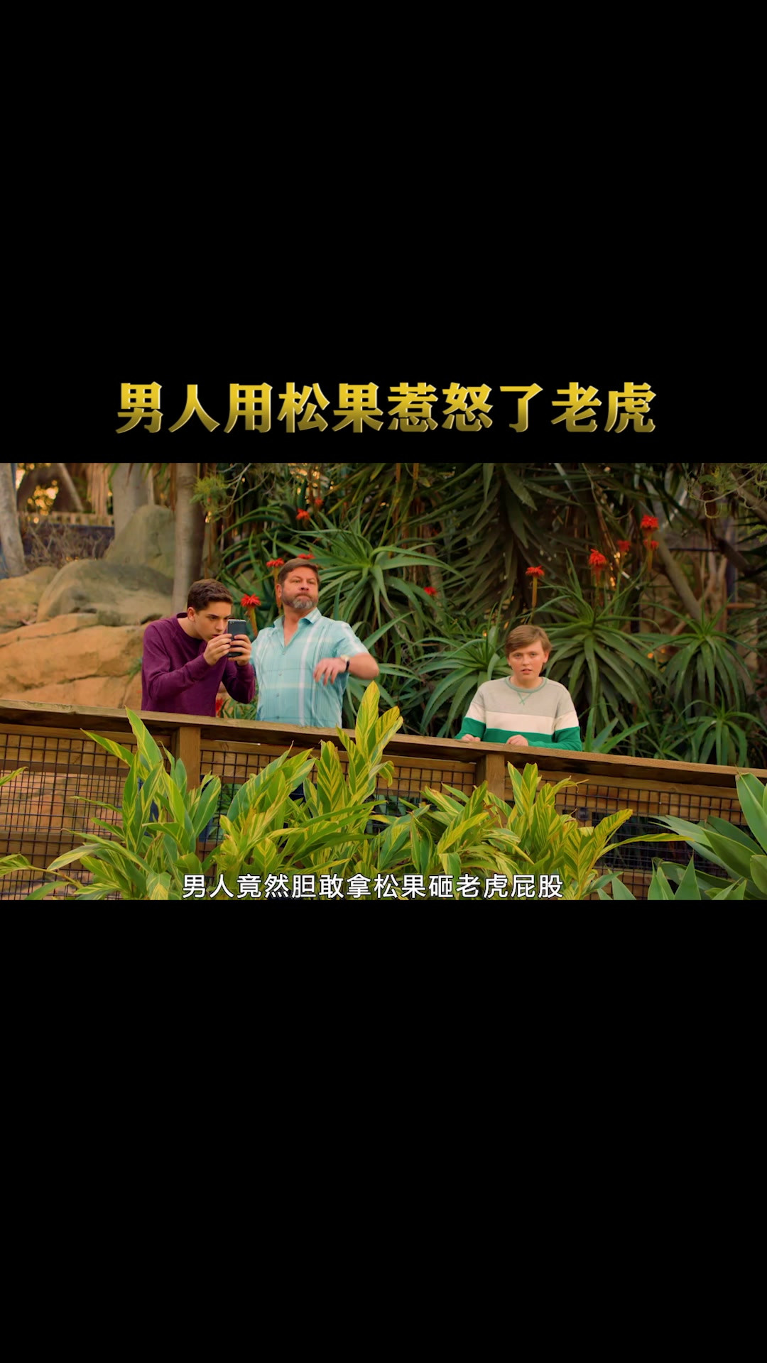 男人拿松果砸老虎屁股，却惨遭灭顶之灾，人性片