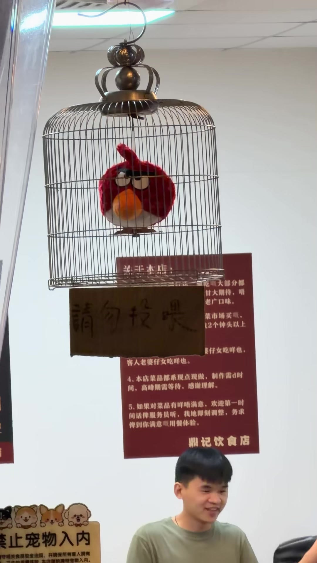 餐饮店老板脑洞大开，鸟笼里不是真鸟 是愤怒的小鸟玩偶