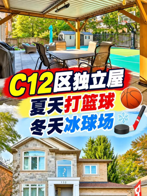 叫价299.5万｜多伦多 C12｜后院夏天打篮球