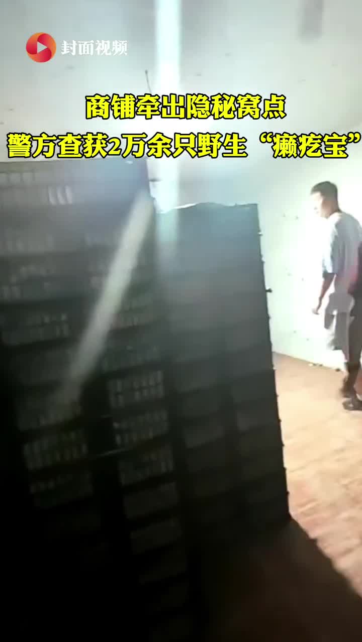 商铺牵出隐秘窝点 内江警方查获2万余只野生“癞疙宝” ｜视频