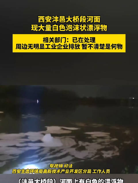 #西安一河段出现大量白色泡沫漂浮物# 【西安沣邑大桥段河面  现大量白色泡沫状漂浮物  相关部门：已