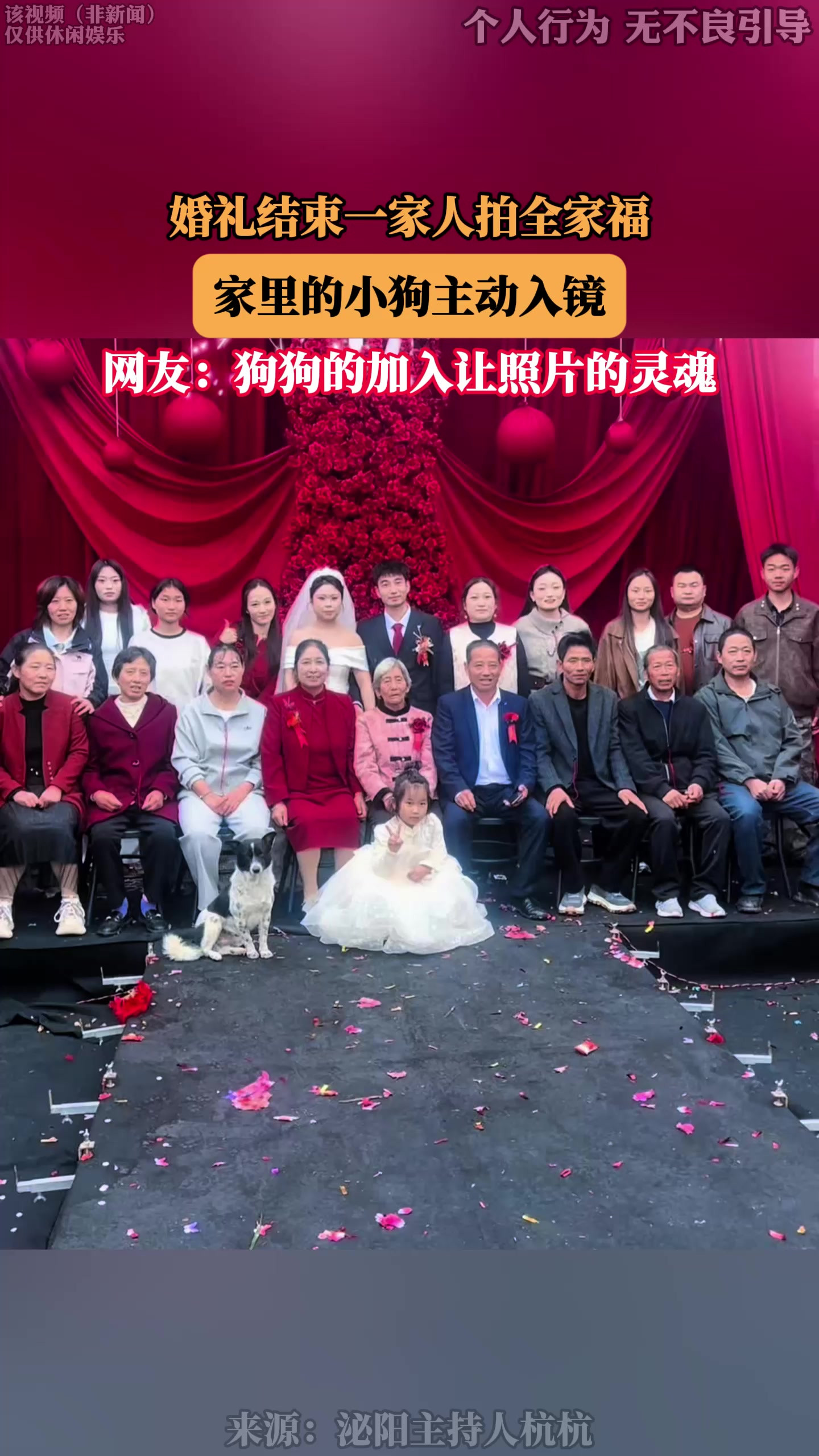 婚礼结束一家人拍全家福，家里的小狗主动入镜