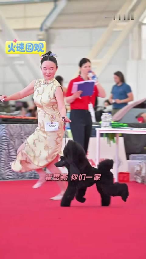 自己争气，老公争气，孩子争气，养的狗狗也争气问题是，做这些事不是有钱就行了，关键是时间和耐心啊，真的