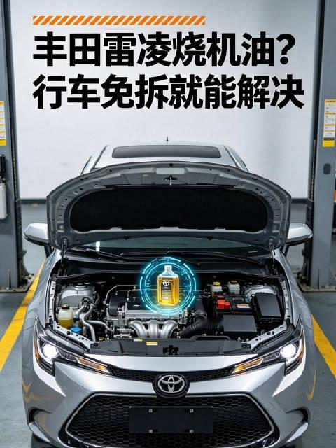 丰田雷凌部分车型确实存在烧机油现象。经检查，常见原因是活塞环积碳堵塞，导致刮油不净、机油参与燃烧。 