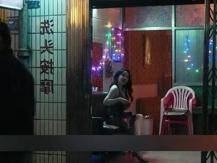我的观影报告