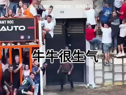 牛牛很生气