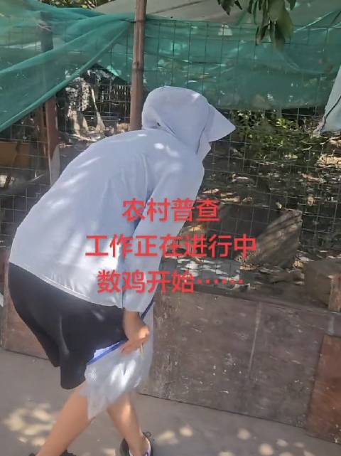 农村普查数鸡进行中……  ​​​