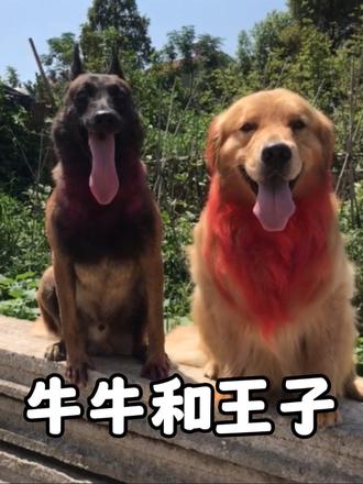 一个狗头军师，一个武力担当，这对卧龙凤雏组合打遍全村无敌手