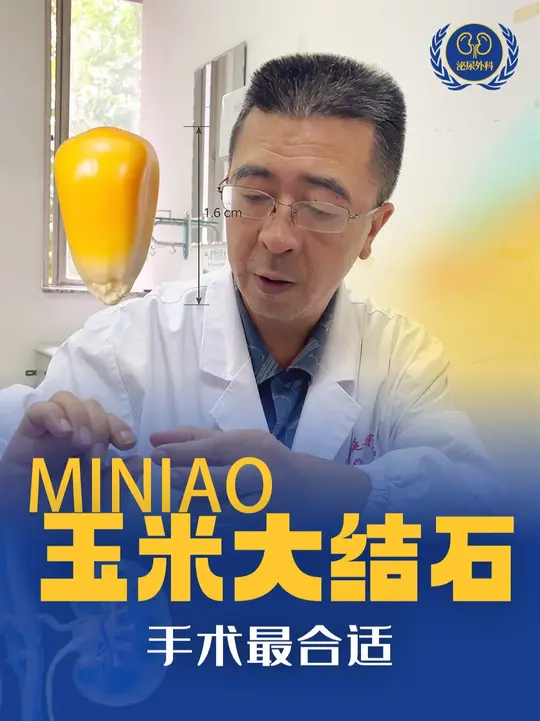 玉米那么大的结石还是手术吧...
