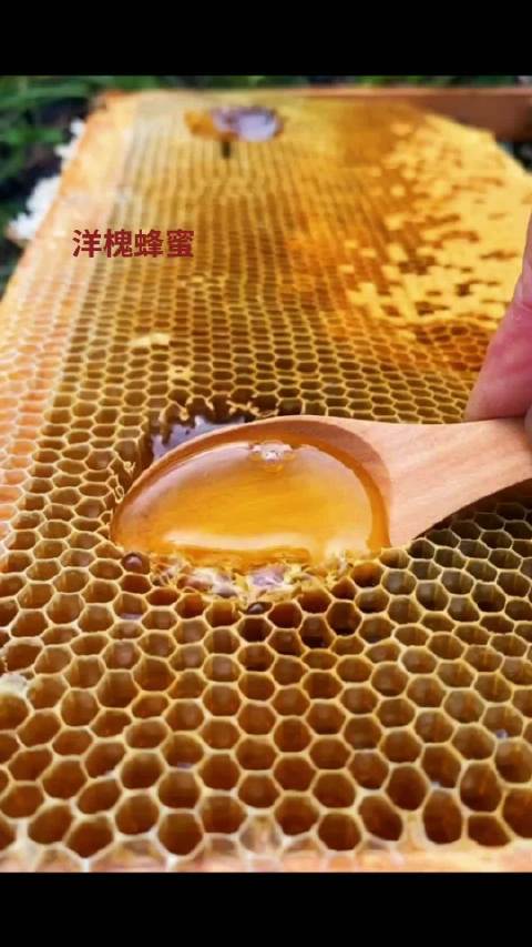 失眠常服洋槐蜜能改善人的情绪，达到宁心安神效果