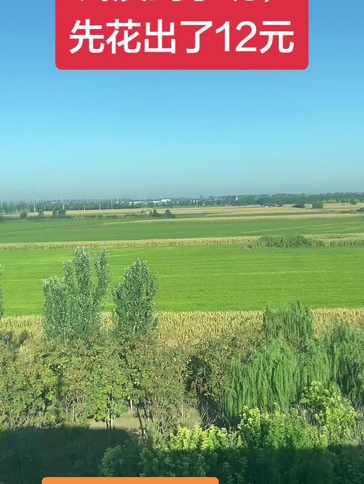 这班上的，没挣钱，先花12元