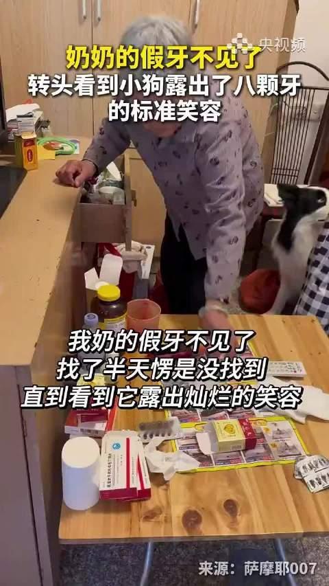 #德子的窝[超话]#  2.#奶奶假牙不见小狗露八颗牙#都说狗嘴吐不出象牙，但是狗嘴可以吐出假牙哈哈