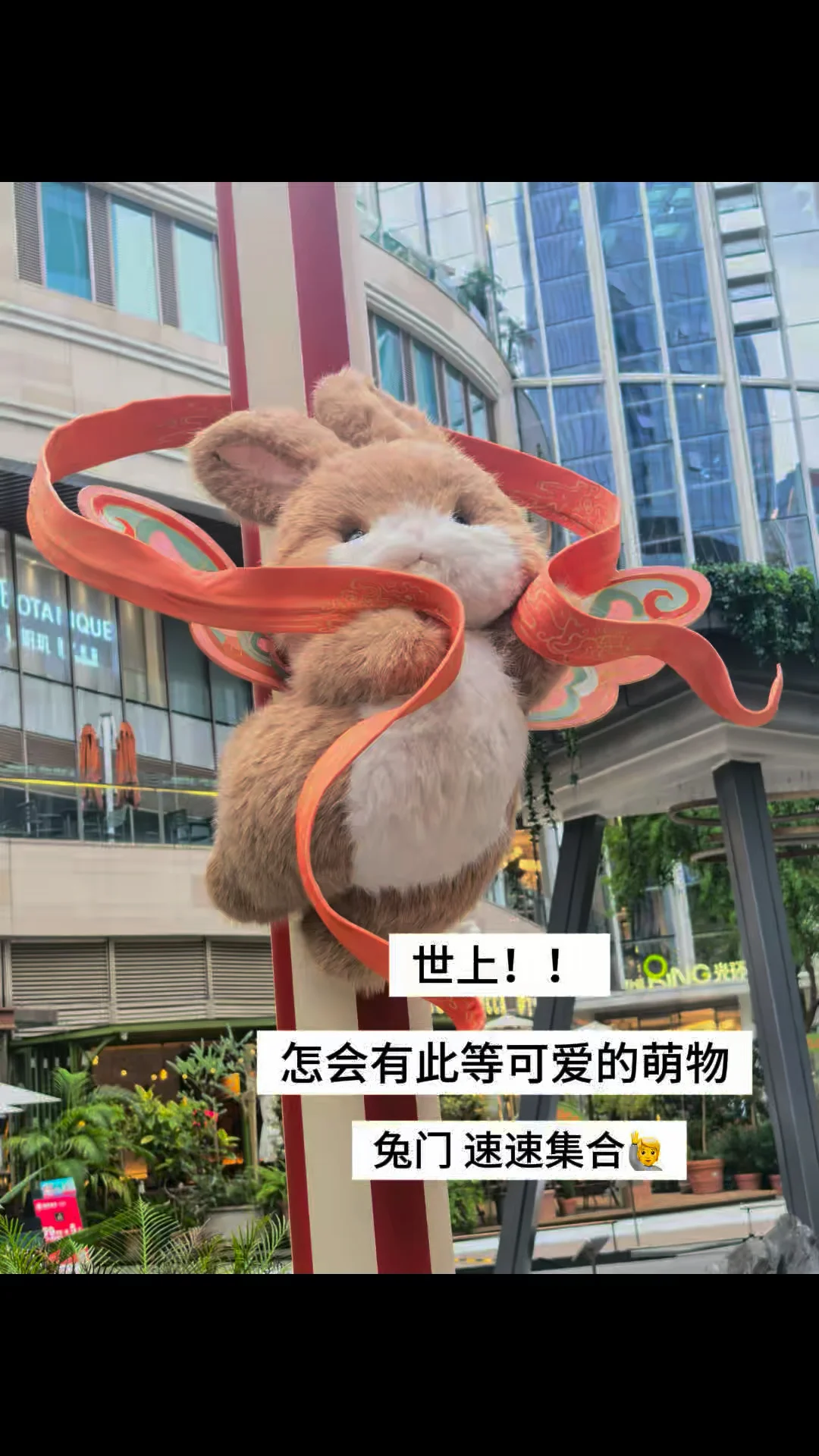 兔门集合！！！！！火速前来！！！！！